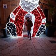 Insegnante madre lingua araba